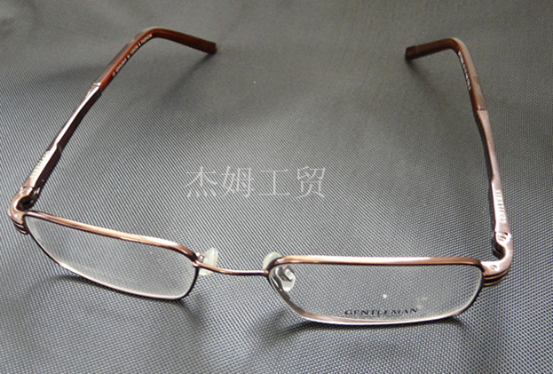 Titanium glasses frame