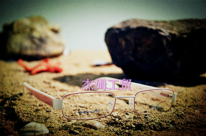 Titanium glasses frame