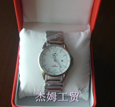 Titanium watches