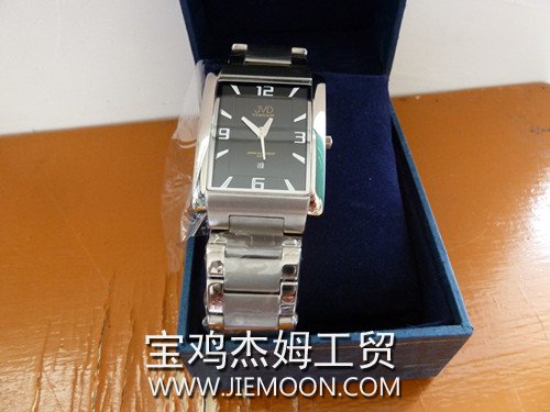Titanium watches