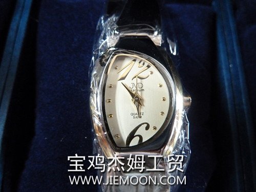 Ladies Titanium Watch