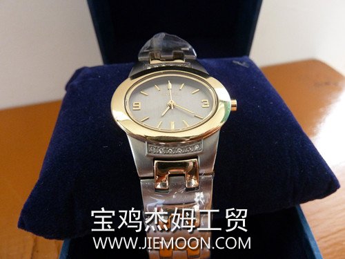  titanium watches